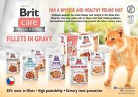 BRIT Care Filets in Gravy kalkoen en zalm in saus - nat kattenvoer - 85 g - thumbnail
