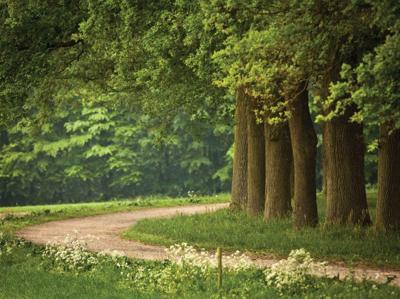 Drenpad 70x50cm Tuinschilderij Customize-it - Customize it