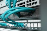 Digitus DN-97661 19 inch Afdekking met borstels voor patchkast 1 HE Zwart, Zwart (RAL 9005) - thumbnail