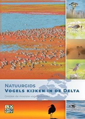 Pixfactory Natuurgids Vogels kijken in de Delta