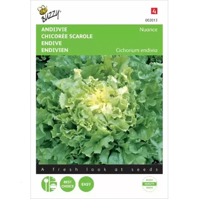 Andijvie Nuance