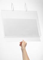 Durable 502819 Posterhouder Transparant (b x h x d) 350 x 460 x 0.6 mm 1 x DIN A3 - thumbnail