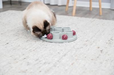 Strategiespel voor katten - TRIXIE - Pentagon - ø 28 cm - thumbnail