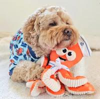 Fuzzyard octo-posse sailor squiggles pluche - thumbnail