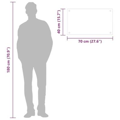 VidaXL Spatschermen keuken 2 st 70x40 cm gehard glas zwart VidaXL Spatschermen keuken 2 st 70x40 cm gehard glas zwart