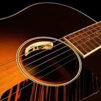 LR Baggs Anthem akoestische gitaar voorversterking - thumbnail