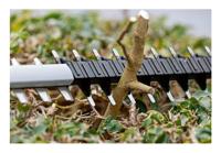 Bosch Professional GHE 18V-50 Heggenschaar - thumbnail