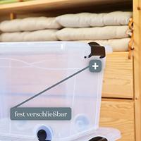 Siena HOME Opbergdoos Anzio 20 l (b x h x d) 450 x 335 x 250 mm 1 stuk(s) - thumbnail