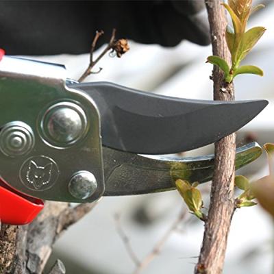 Wolf Garten RR-EN Los Snoeischaar | Papegaaiebek | tot 19 mm Ø - 7223000