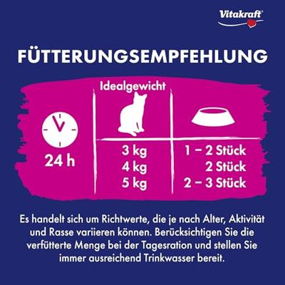 Vita drink salmon 5st - Vitakraft