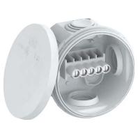 OBO Bettermann 2007430 Verdeeldoos (Ø x d) 80 mm x 51 mm 1 stuk(s) - thumbnail