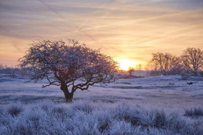 Tuinschilderij winter wnderl 130x70 Customize-it - Customize it