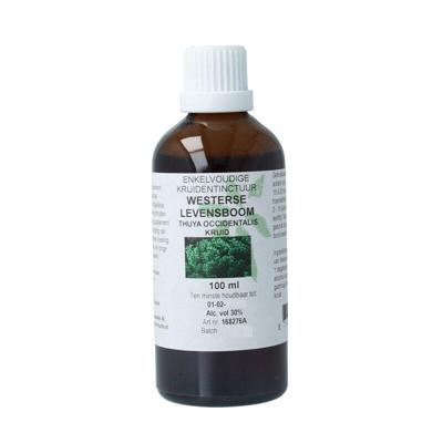 Cruydhof Thuja occidentalis / levensboom tinctuur 100 Milliliter
