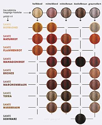 Sante Haarverf terra BDIH 100 Gram