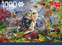 Premium Collection Puzzel - Owls In The Moonlight (1000 Stukjes) - Puzzel;Puzzel (8710126188590) - thumbnail