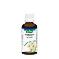 A. Vogel Crataegus Complex 50ml - thumbnail