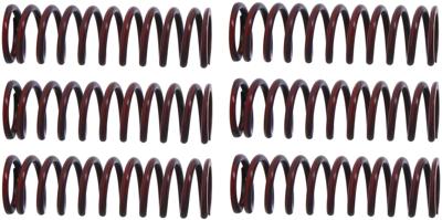 TRW koppelingsveren set clutch spring kit mef306-6