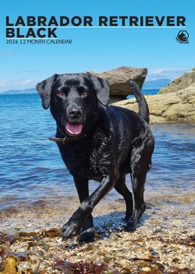 Labrador Retriever Zwart A3 Kalender 2026