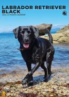 Labrador Retriever Zwart A3 Kalender 2026 - thumbnail