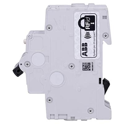 ABB 2CSR255180R1105 ABB Stotz S&J Aardlekschakelaar B 2-polig 10 A 0.03 A 230 V ABB 2CSR255180R1105 ABB Stotz S&J Aardlekschakelaar B 2-polig 10 A 0.03 A 230 V