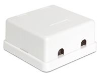 Delock 86207 2 poorten Netwerkpatchpaneel Zonder connectoren 1 HE Wit Niet ingericht - thumbnail