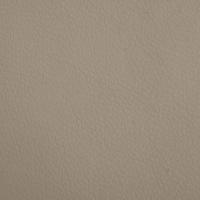 Hondenmand 60x40x30 cm kunstleer cappuccinokleurig - thumbnail