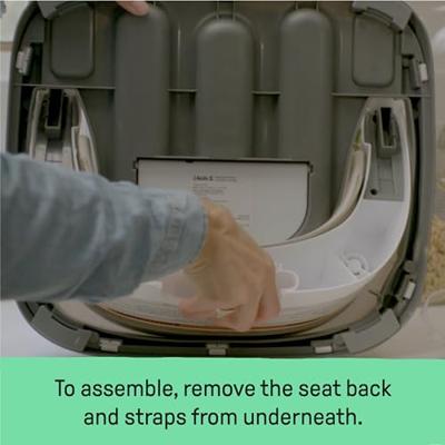 INGENUITY 2-in-1 zitverhoger met geïntegreerd opbergbakje, pioenroos, vanaf 6 maanden