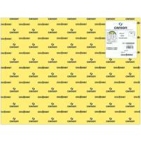 Fiches Iris Lemon Geel 50 x 65 cm - thumbnail