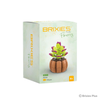 Oku Brixies plus flower venus bouwsteentjes 119 stuks - thumbnail