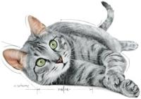 Royal Canin Indoor Sterilised 7+ in Gravy (brokjes in saus) natvoer kattenvoer 12x85gr - thumbnail