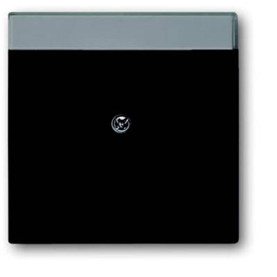 Busch-Jaeger 2CKA001710A3910 Modulaire jack insert Afdekking Zwart, Diepzwart (RAL 9005) 1 stuk(s)