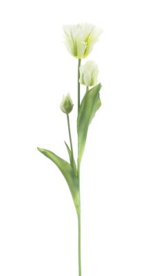 PSO Parrot tulip spray Sally cream 71 cm kunstbloem Erutan Avon - Erutan avon