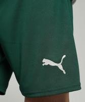 PUMA Portugal Thuisbroekje 2025-2026 - thumbnail