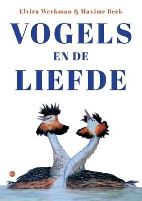Vogels en de liefde (Paperback)