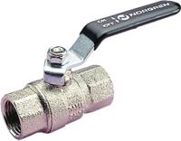 IMI NORGREN 602112228 Kogelkraan 0.4 tot 40 bar 1 stuk(s) - thumbnail