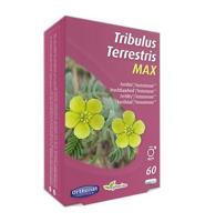 Trenker Tribulus Terrestris Max Capsules - thumbnail