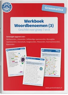 Werkboek woordbenoemen (Paperback) Werkboek woordbenoemen (Paperback)
