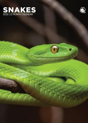 Slangen A3 Kalender 2026