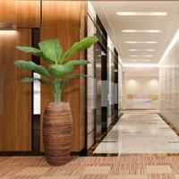 Banaan Royal kunstboom 165cm - thumbnail