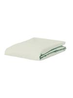 Essenza Premium Percale Hoeslaken Oyster - thumbnail