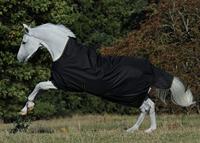 Bucas Irish Turnout deken 50 zwart maat:165 / 7'1 - thumbnail