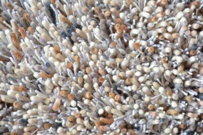 Brink en Campman - Young 61801 - 200 rond Vloerkleed