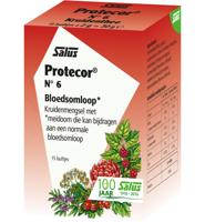 Salus Salus Kruidenthee 6 Protector (15st) - thumbnail