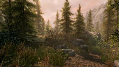 Nintendo Switch The Elder Scrolls V: Skyrim