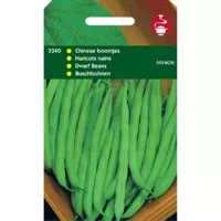 Zaden Stamslabonen chinees boontje Miracle 100g Tuinplus - Tuinplus - thumbnail