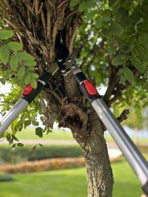 Talen tools takkenschaar voorbijsnijdend telescopisch premium 66-99 cm