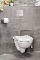 Zack Atore toiletborstel 8.9x52x11.9cm RVS Mat 40416 - thumbnail