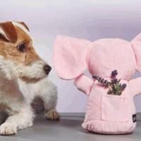 Knuffel voor honden Gloria Hoa 20 cm Roze Olifant - thumbnail