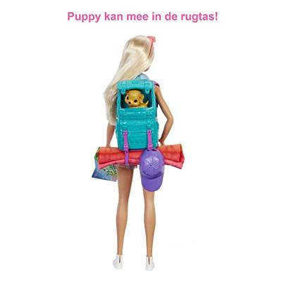 Barbie Dreamhouse Adventures Pop en Accessoires