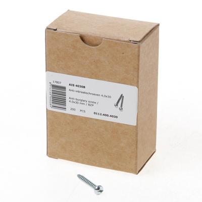 DX anti-inbraakschroef - 4.0x30mm - gegalvaniseerd - bolle kop